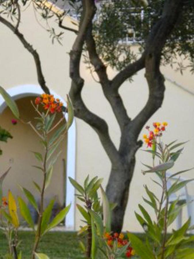 Natalia Apartment B With Panoramic Sea Views Of Agios Gordios Bay Esterno foto